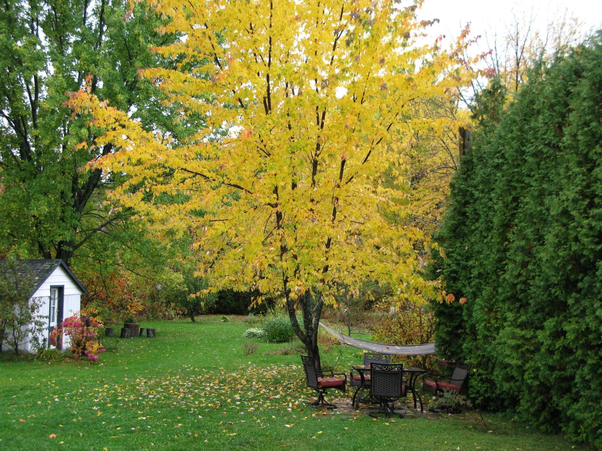 Gîte Aux Traditions Saint-Jean-des Piles Extérieur photo